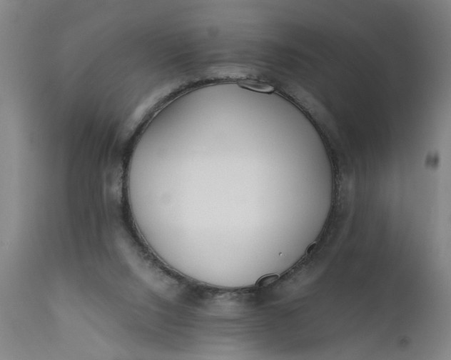 X0000110670064200906261307