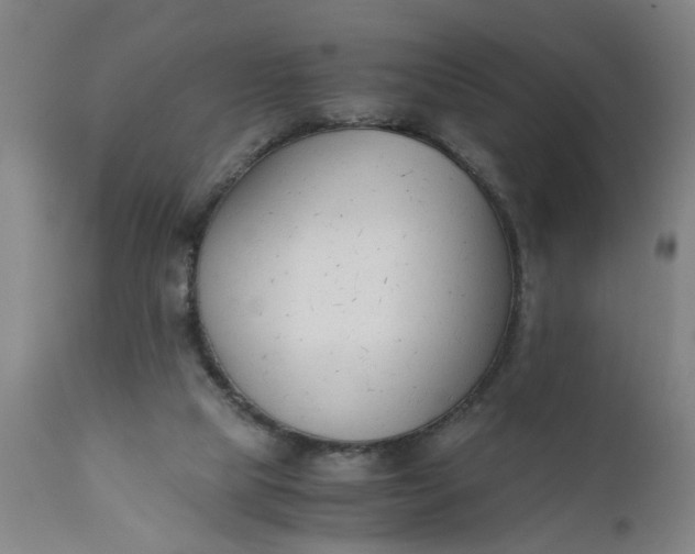 X0000110670065200906261307
