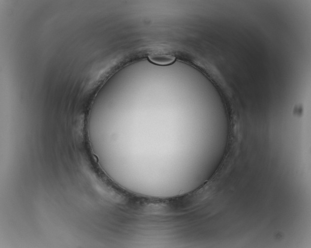 X0000110670066200906261307