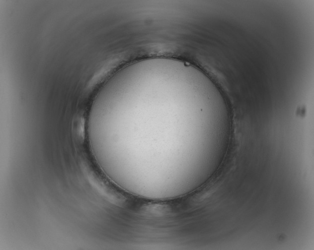 X0000110670067200906261307