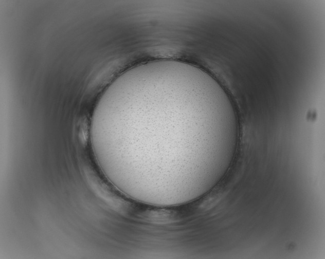 X0000110670069200906261307