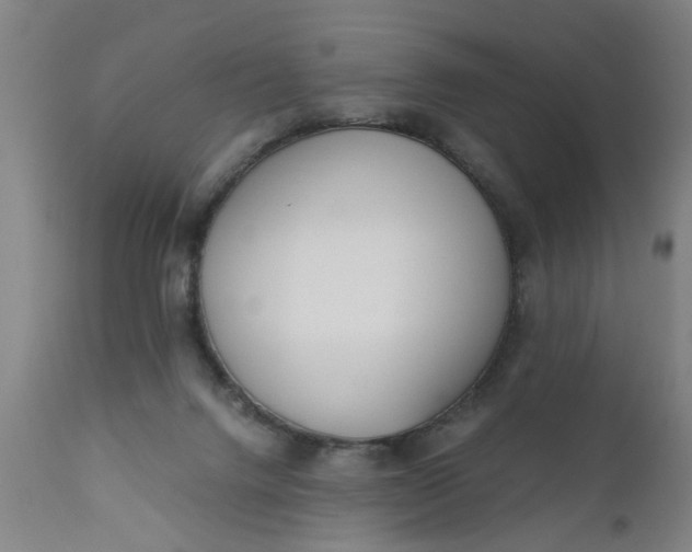 X0000110670072200906261307