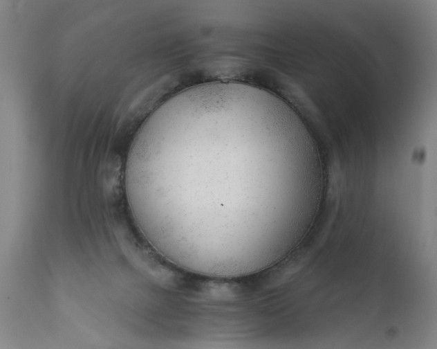 X0000110670073200906261307