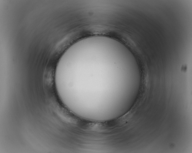 X0000110670074200906261307