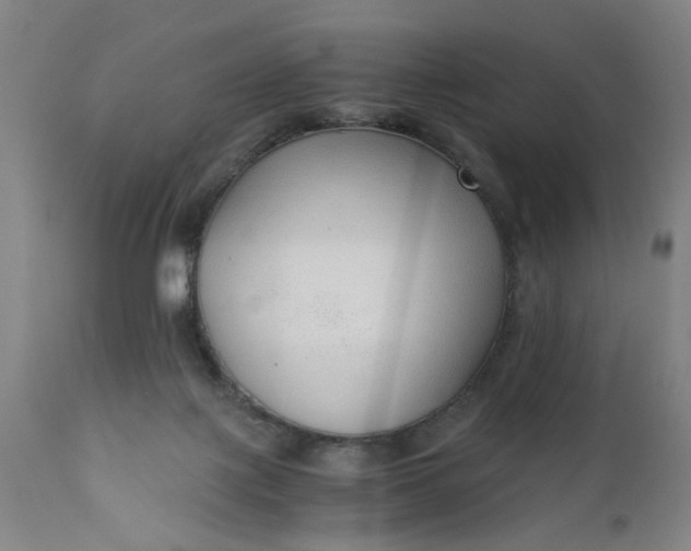 X0000110670075200906261307