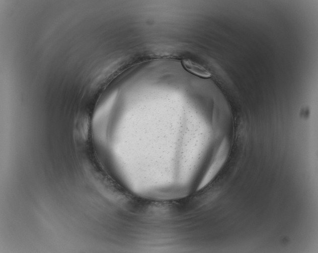 X0000110670076200906261307