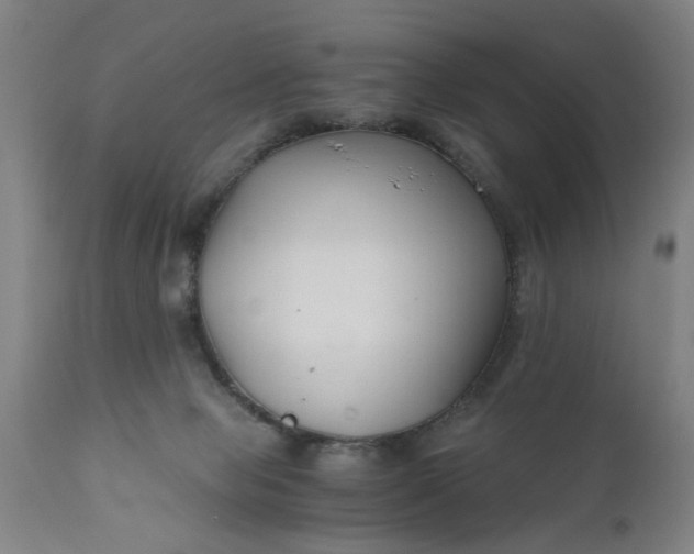 X0000110670077200906261307
