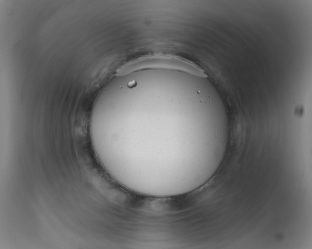 X0000110670078200906261307