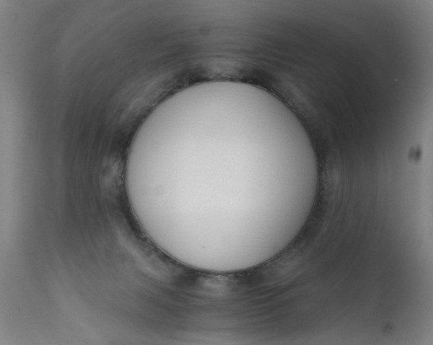 X0000110670079200906261307
