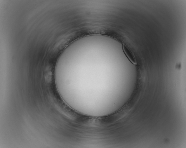 X0000110670080200906261307