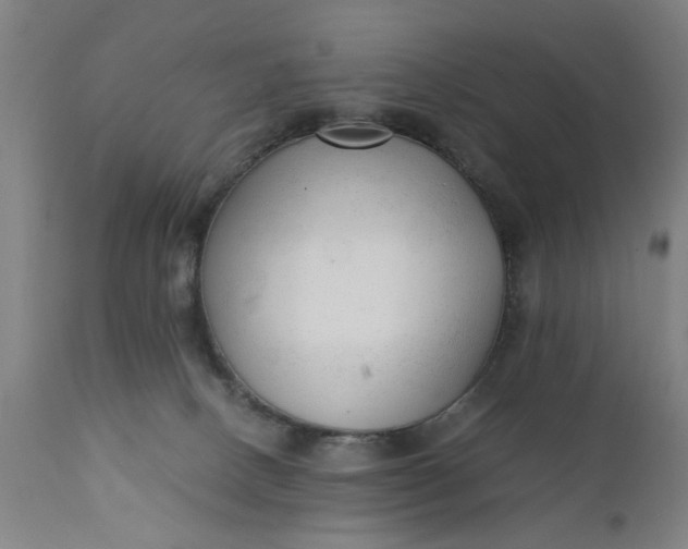 X0000110670082200906261307