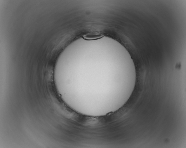 X0000110670083200906261307