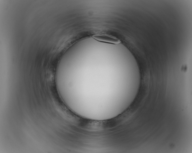 X0000110670084200906261307