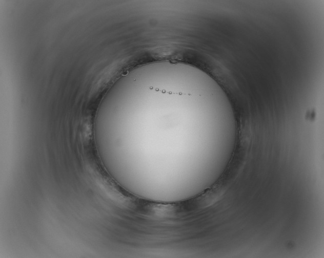 X0000110670085200906261307