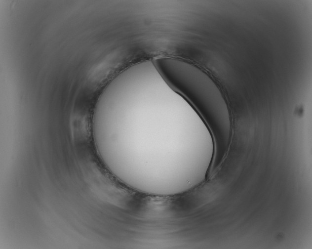 X0000110670088200906261307