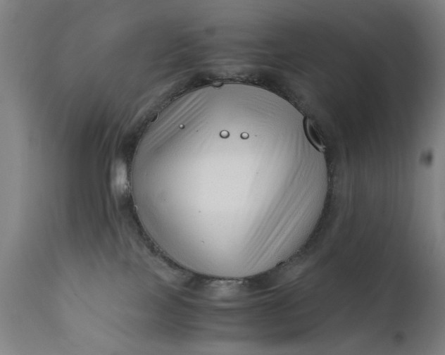 X0000110670089200906261307