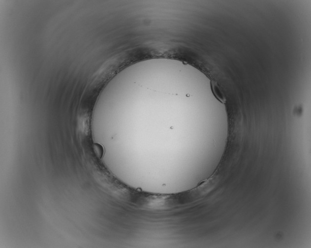X0000110670090200906261307