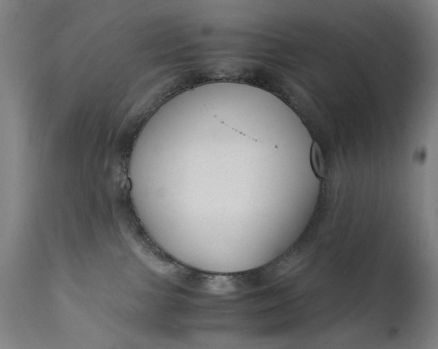 X0000110670091200906261307