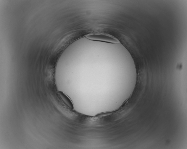 X0000110670092200906261307