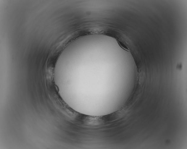 X0000110670093200906261307