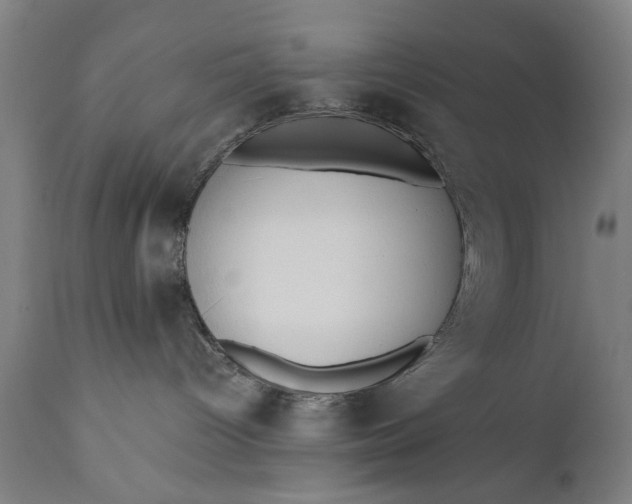 X0000110670096200906261307