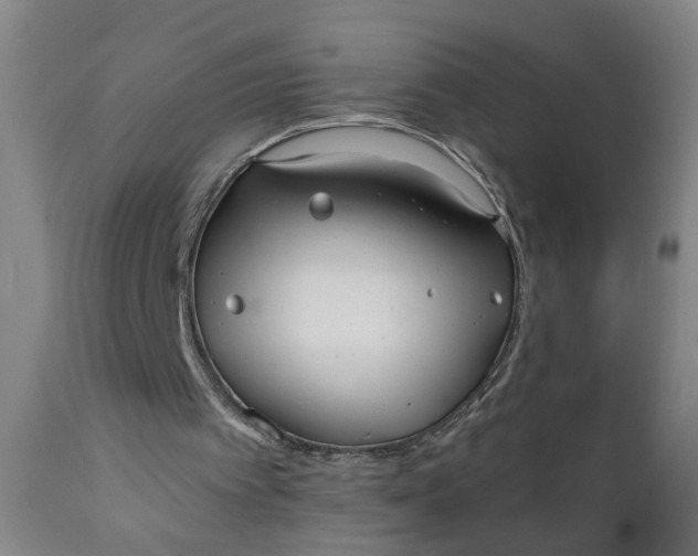 X0000110670097200906261306