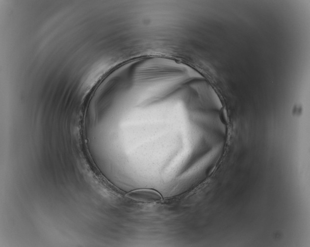 X0000110670098200906261306