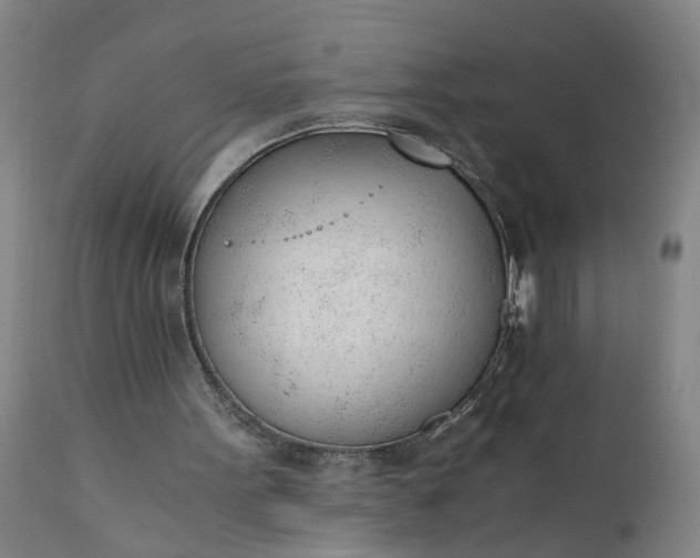 X0000110670099200906261306