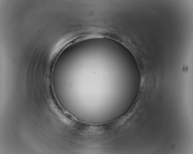 X0000110670101200906261306