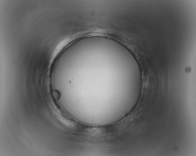 X0000110670102200906261306