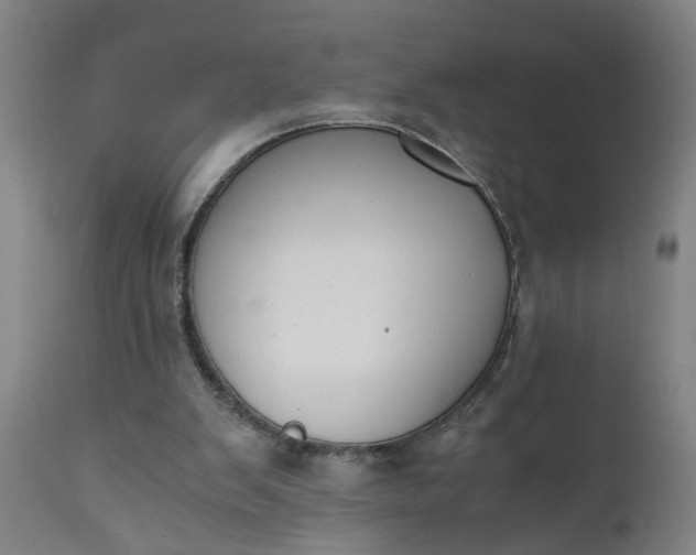 X0000110670103200906261306