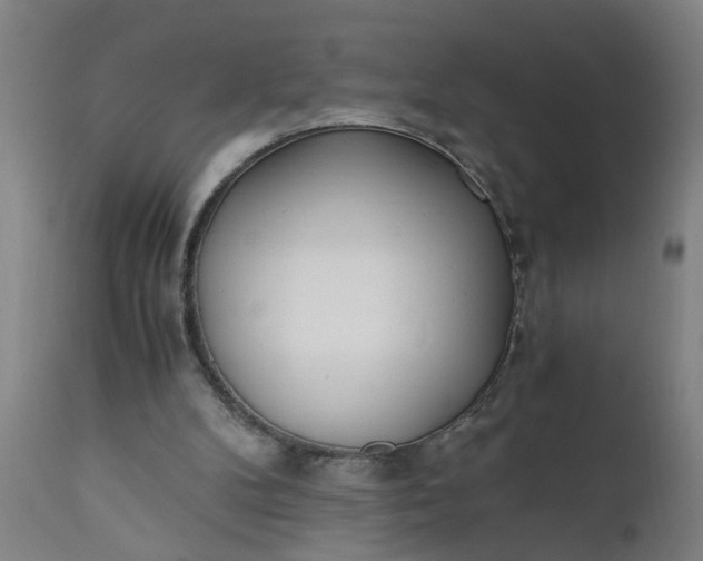 X0000110670104200906261306