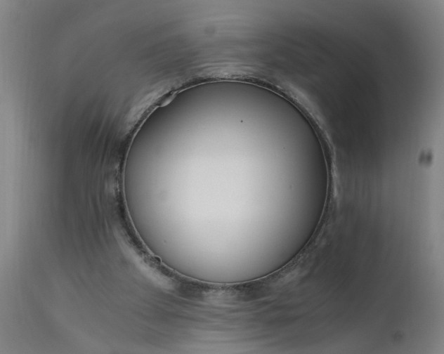 X0000110670105200906261306