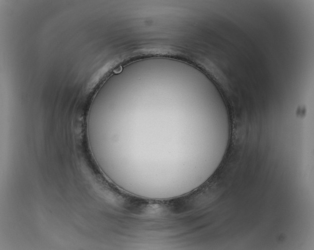 X0000110670111200906261306