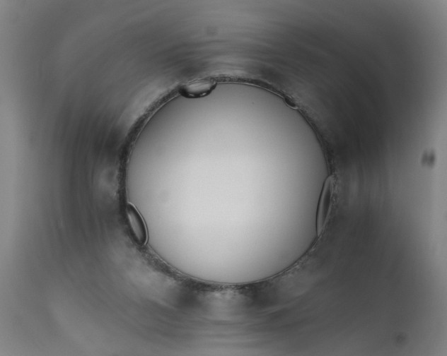 X0000110670112200906261306