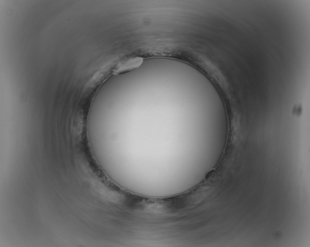 X0000110670113200906261306