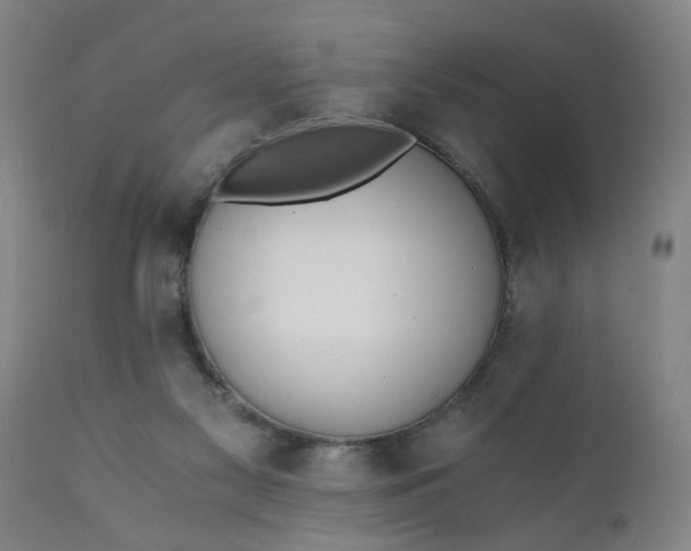 X0000110670117200906261306