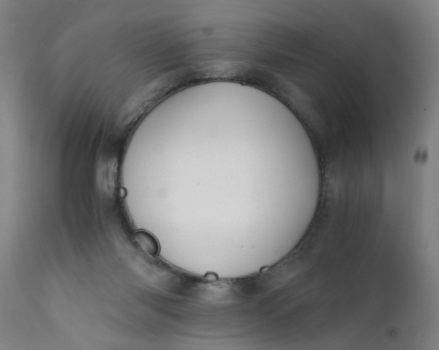 X0000110670118200906261306