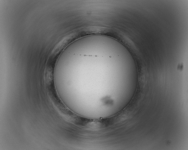 X0000110670119200906261306
