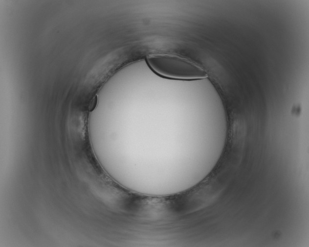 X0000110670121200906261306