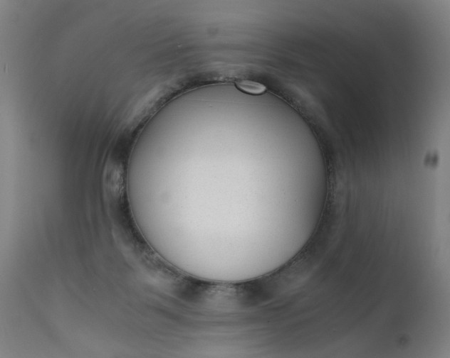 X0000110670123200906261306