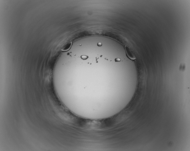 X0000110670125200906261306