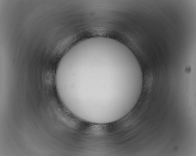 X0000110670126200906261306