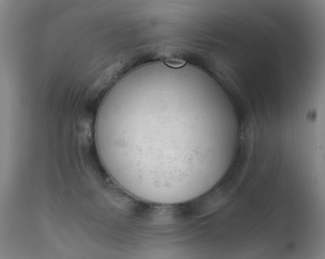 X0000110670127200906261306