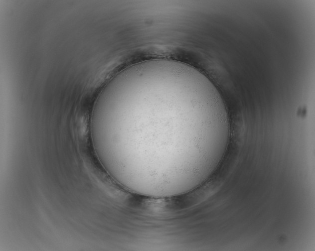 X0000110670131200906261306