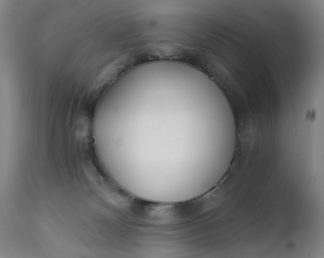 X0000110670132200906261306