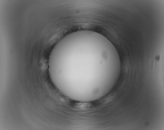 X0000110670135200906261306
