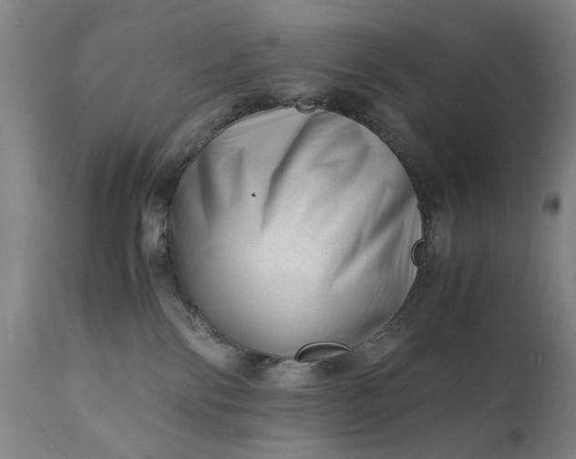 X0000110670138200906261306