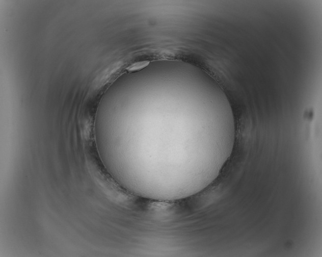 X0000110670139200906261306