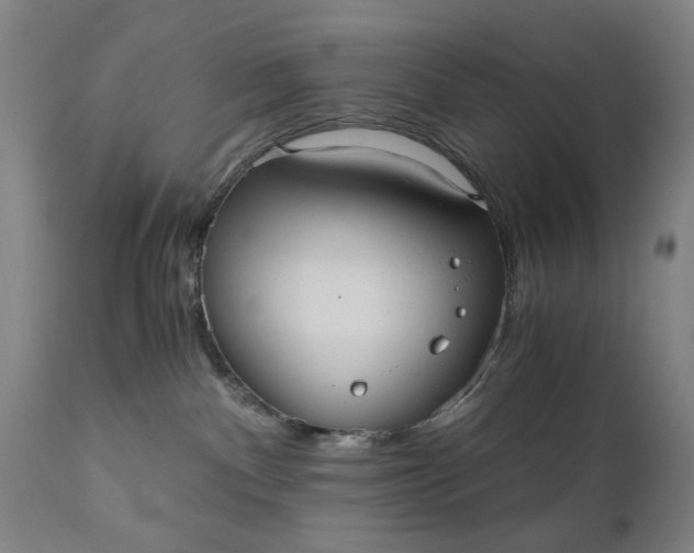 X0000110670140200906261306
